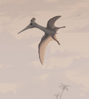 Pterodactylus