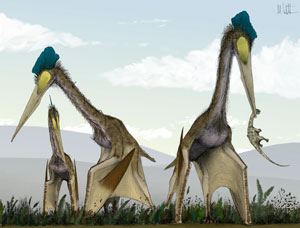 Quetzalcoatlus